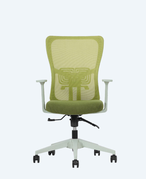 Lumbar Yeşil Çalışma Koltuğu