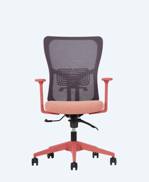 Lumbar Somon Çalışma Koltuğu